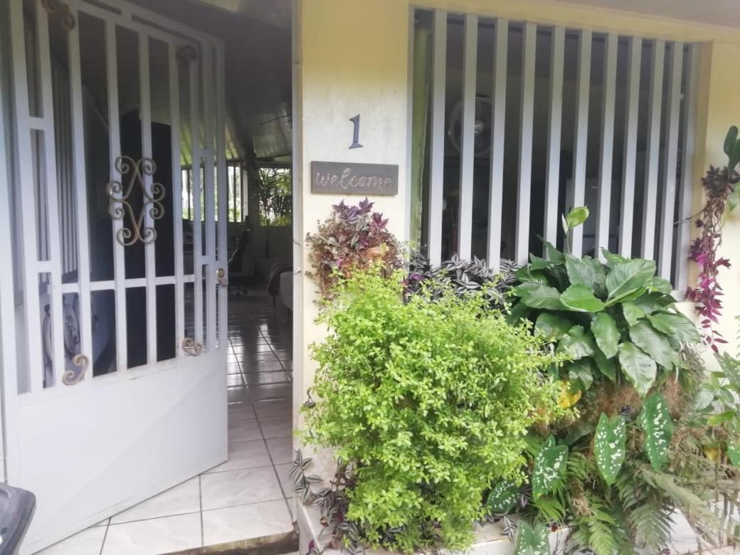 Casa Sophia 3 Listings Apartment 1 Or Apartment 2 Separately Or Apt 1 And 2 Together All With Fo Internet Guápiles エクステリア 写真