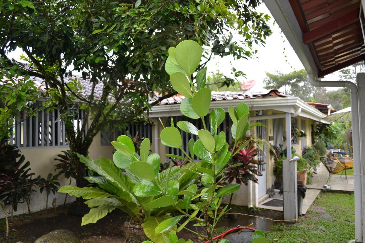 Casa Sophia 3 Listings Apartment 1 Or Apartment 2 Separately Or Apt 1 And 2 Together All With Fo Internet Guápiles エクステリア 写真