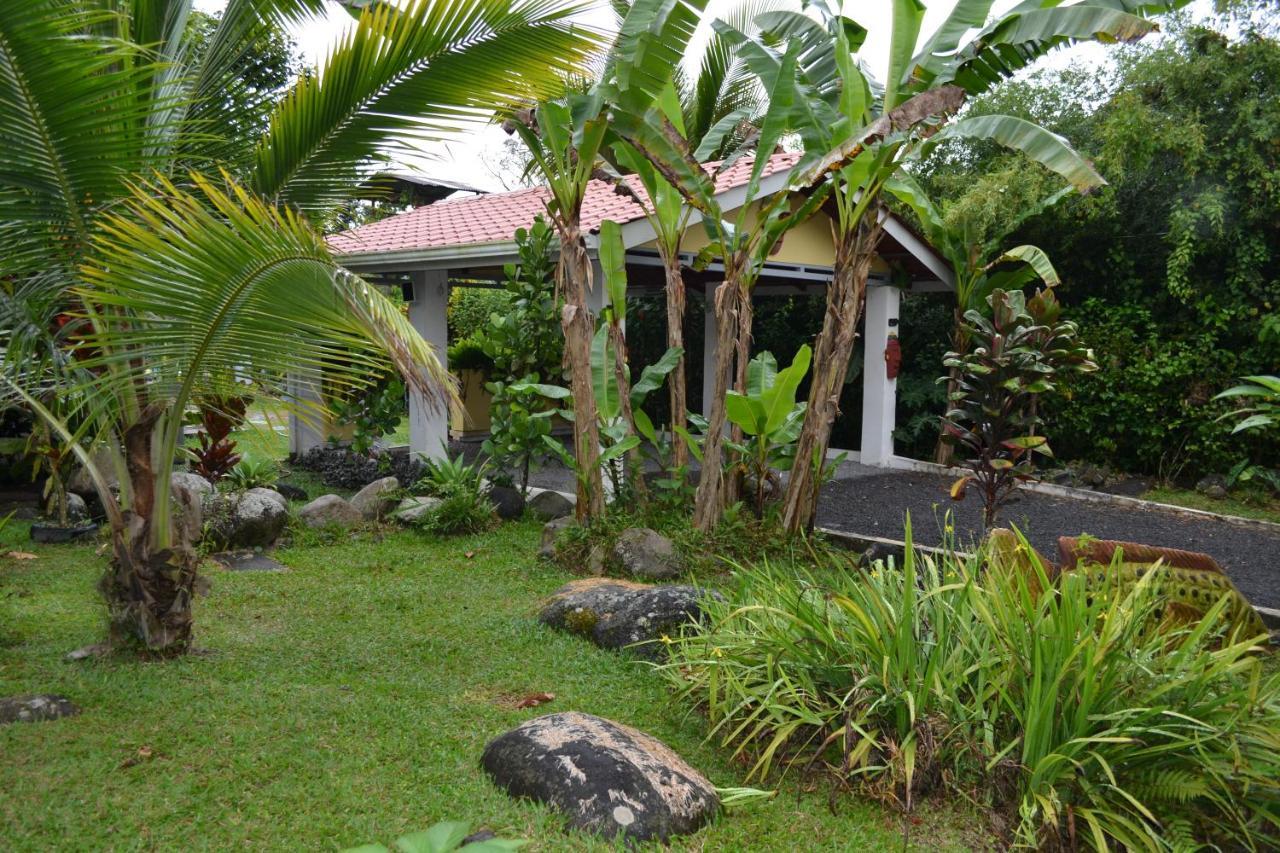 Casa Sophia 3 Listings Apartment 1 Or Apartment 2 Separately Or Apt 1 And 2 Together All With Fo Internet Guápiles エクステリア 写真