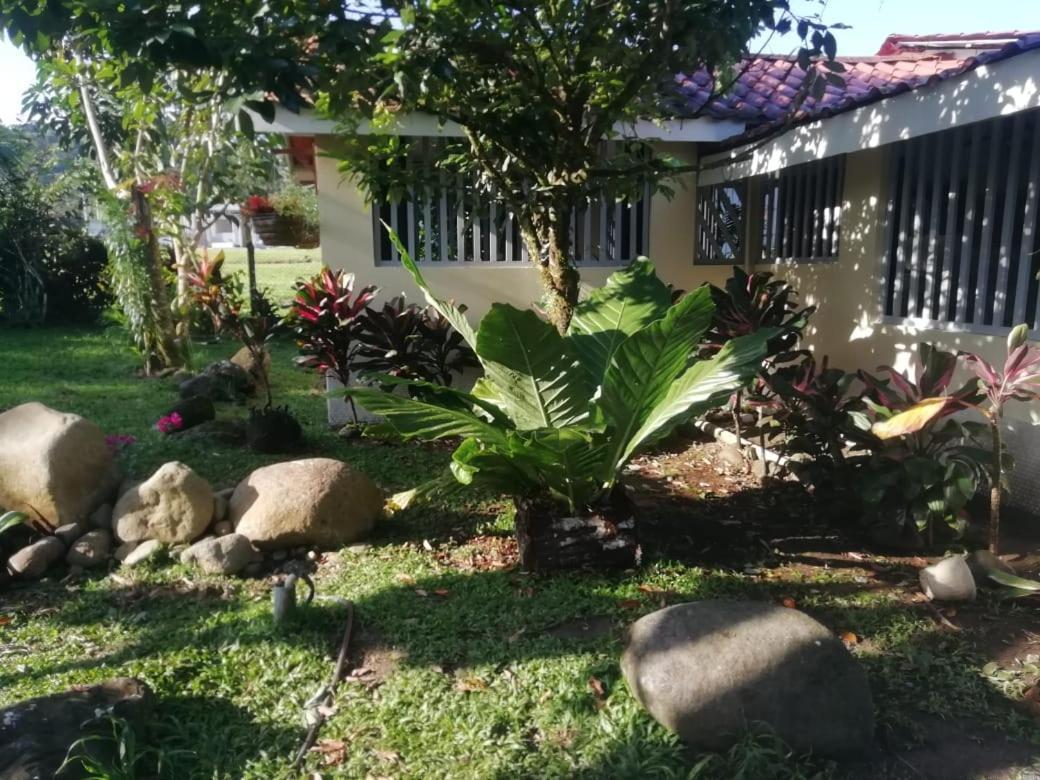 Casa Sophia 3 Listings Apartment 1 Or Apartment 2 Separately Or Apt 1 And 2 Together All With Fo Internet Guápiles エクステリア 写真