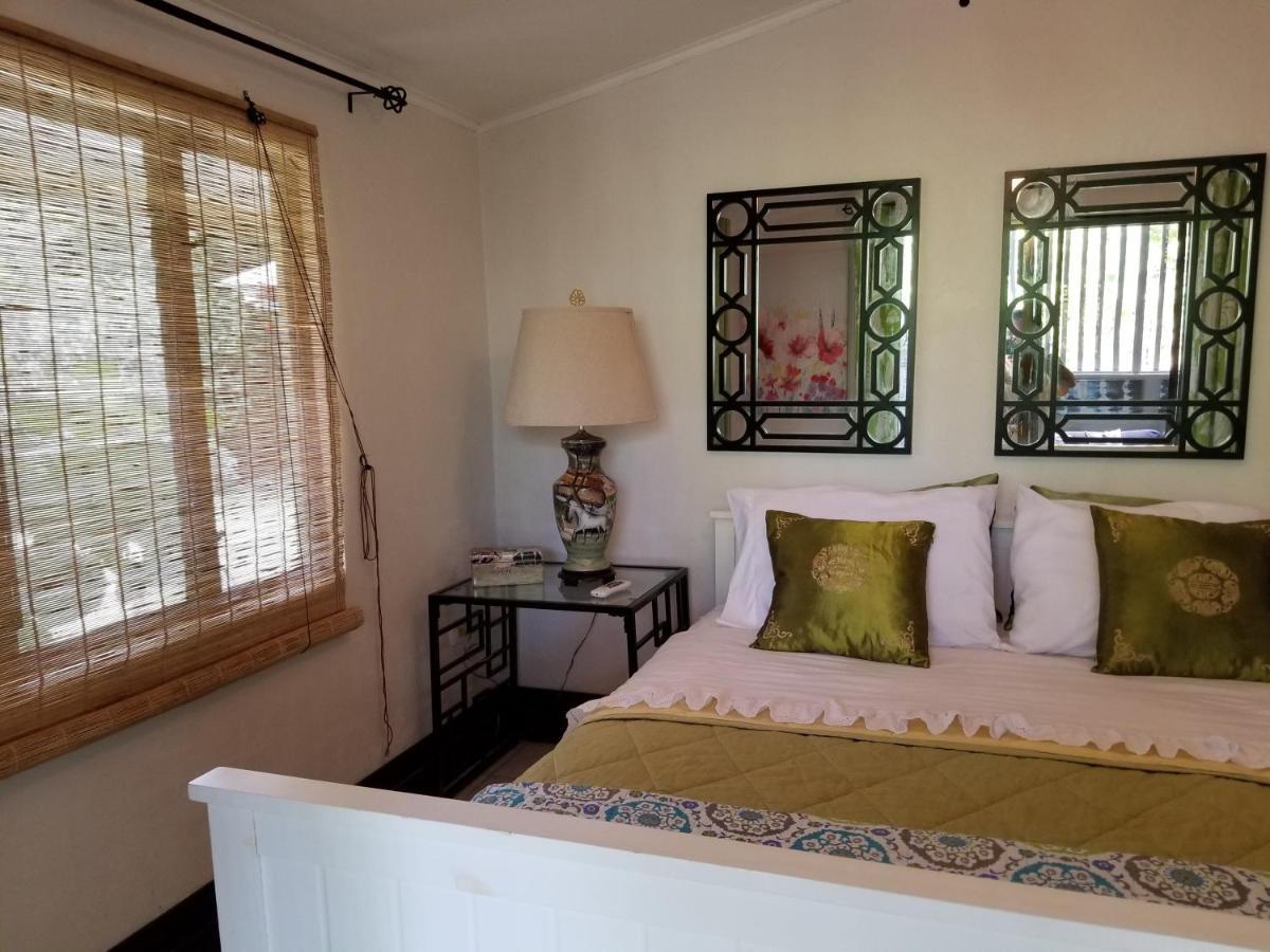 Casa Sophia 3 Listings Apartment 1 Or Apartment 2 Separately Or Apt 1 And 2 Together All With Fo Internet Guápiles エクステリア 写真