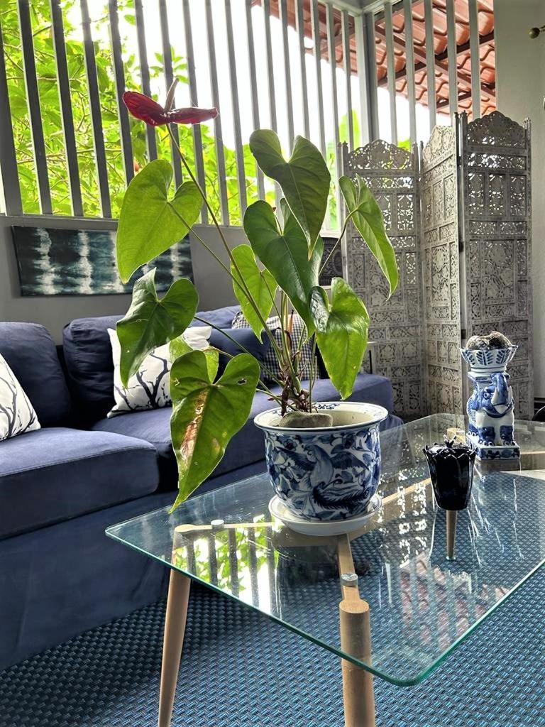 Casa Sophia 3 Listings Apartment 1 Or Apartment 2 Separately Or Apt 1 And 2 Together All With Fo Internet Guápiles エクステリア 写真