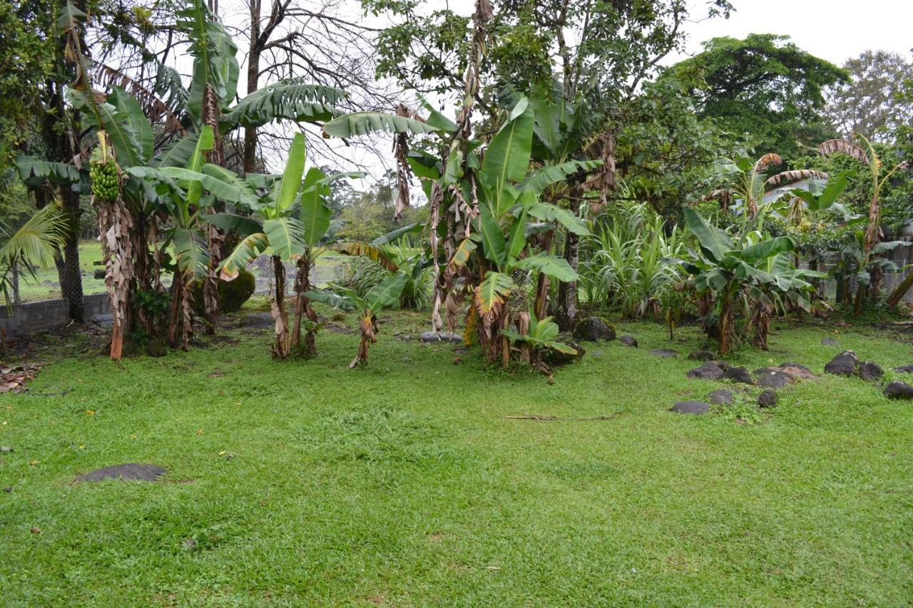 Casa Sophia 3 Listings Apartment 1 Or Apartment 2 Separately Or Apt 1 And 2 Together All With Fo Internet Guápiles エクステリア 写真