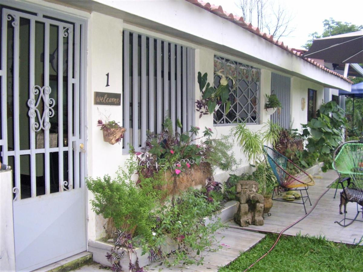 Casa Sophia 3 Listings Apartment 1 Or Apartment 2 Separately Or Apt 1 And 2 Together All With Fo Internet Guápiles エクステリア 写真